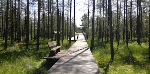 Rezerwat Czerwony Bór