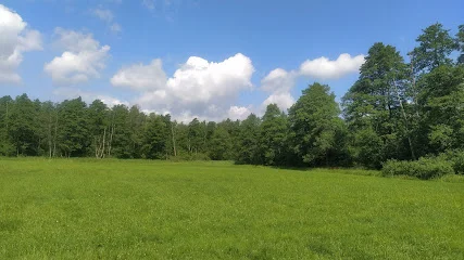 Rezerwat przyrody Wielki Dział